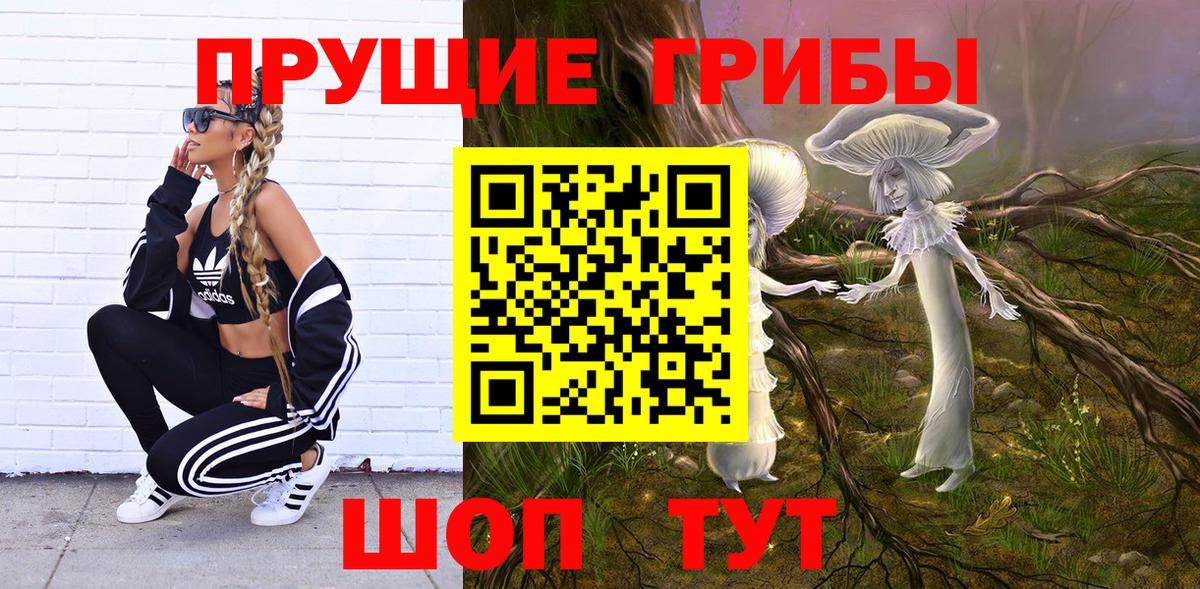 Галлюциногенные грибы GOLDEN TEACHER Москва